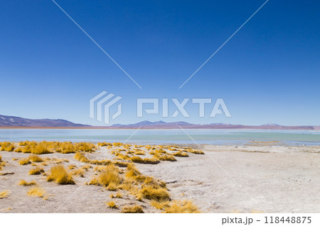 Bolivian lagoon landscape,Bolivia Bolivian lagoon landscape,Bolivia 118448875