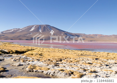 Laguna Colorada view, Bolivia 118448881