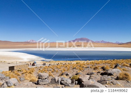 Laguna Canapa view, Bolivia 118449062