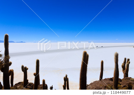 Salar de Uyuni view from Isla Incahuasi Salar de Uyuni view from Isla Incahuasi 118449077