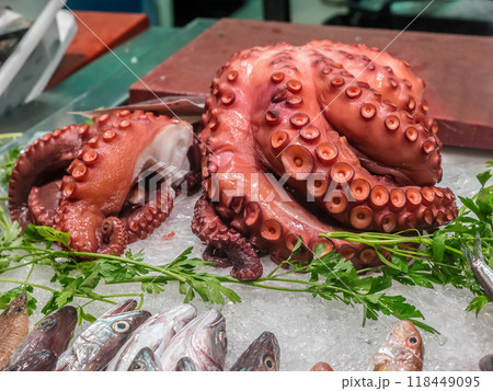 Fresh octopus meat at the sea food market, Murci, Spain 118449095