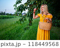 The beautiful, smiling blonde woman in a yellow dress, with a fruit basket, holds ripe cherries in her hand 118449568