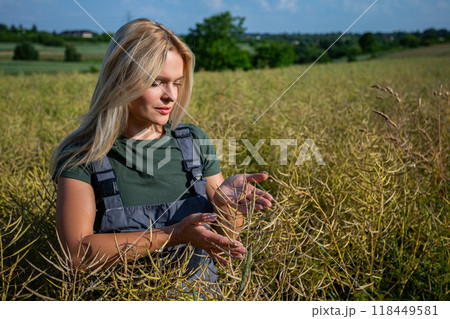 Farmer Examines Ripening Rapeseed Pods in a Lush Green Field Under a Blue Sky with Village in the Background 118449581