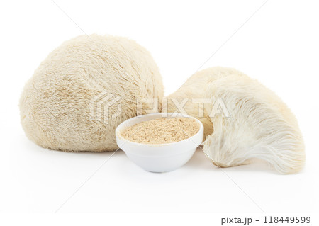 Lion's Mane Mushrooms with Powder on white background 118449599