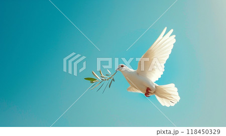 Peaceful Dove with Olive Branch in Flight 118450329