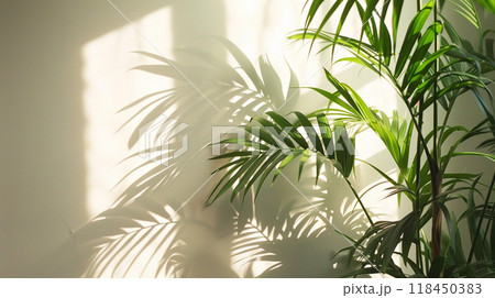 Indoor Plant Basking in Sunlight Indoor Plant Basking in Sunlight 118450383