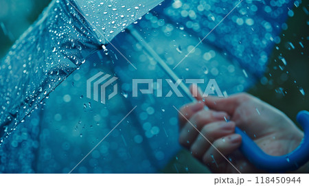 Rainy Day Umbrella 118450944