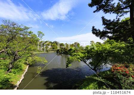 日本庭園のある横浜市本牧の三渓園の春 118451674