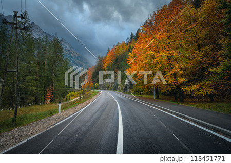 Road and beautiful red tree in golden autumn. Empty mountain road Road and beautiful red tree in golden autumn. Empty mountain road 118451771