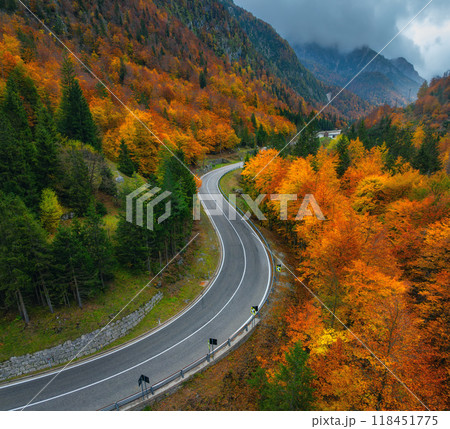 Aerial view of wet curvy road and orange forest in golden autumn Aerial view of wet curvy road and orange forest in golden autumn 118451775