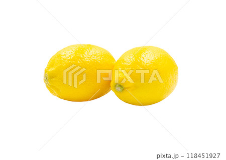 レモン【広島県産】 118451927