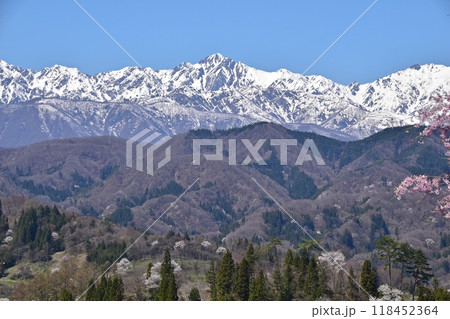 小川村　立屋展望台付近から眺める桜と北アルプスの絶景 118452364