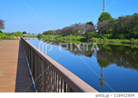 びん沼川　河川デッキからの眺め　真夏の風景　 118452904
