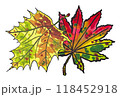 手描きの水彩画(絵手紙)紅葉した「プラタナスの葉」と「ハウチワカエデ(羽団扇楓)の葉」 118452918