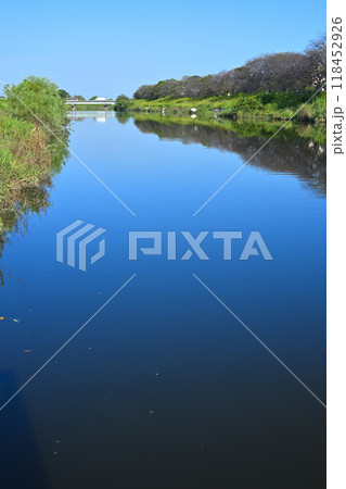 びん沼川 びん沼自然公園 真夏の風景 びん沼川 びん沼自然公園 真夏の風景 118452926