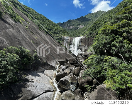 Senpiro-taki Falls are grand waterfalls representative of Yakushima Island , Yakushima is a World Heritage Site island located in Kagoshima Prefecture, Kyushu, Japan 118453239