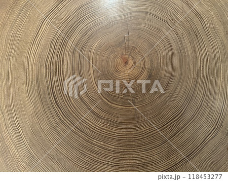 Yakushima is a World Heritage Site island located in Kagoshima Prefecture, Kyushu, Japan, is home to Yakusugi cedar trees over 1,000 years old, pristine beaches, and Japan's best sea turtle nesting si Yakushima is a World Heritage Site island located in Kagoshima Prefecture, Kyushu, Japan, is home to Yakusugi cedar trees over 1,000 years old, pristine beaches, and Japan's best sea turtle nesting si 118453277