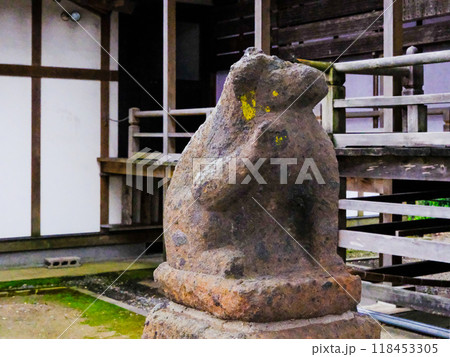 多賀神社拝殿脇の狛犬(左) 多賀神社拝殿脇の狛犬(左) 118453305