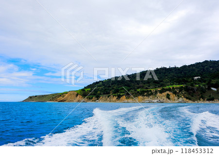 金華山から鮎川港へ 118453312