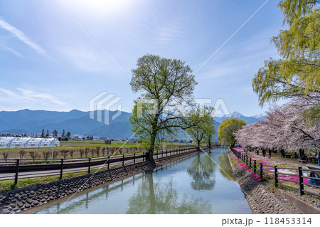 長野県安曇野市 農民たちの手で作られた灌漑用の春の拾ヶ堰と常念岳 長野県安曇野市 農民たちの手で作られた灌漑用の春の拾ヶ堰と常念岳 118453314