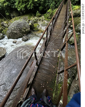 Yakusugi Land is a nature park populated by a number of yakusugi. The park is one of the most accessible places on Yakushima to see the ancient cedar trees. 118453467