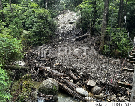 Yakusugi Land is a nature park populated by a number of yakusugi. The park is one of the most accessible places on Yakushima to see the ancient cedar trees. 118453538