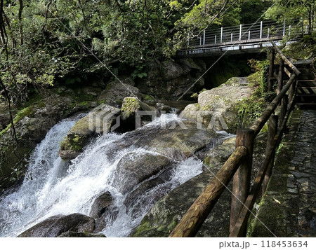 The Shiratani Unsuikyo Ravine on Yakushima is a lush nature park containing several ancient cedars, Yakushima is a World Heritage Site island located in Kagoshima Prefecture, Kyushu, Japan 118453634
