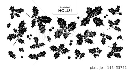 Set of isolated holly branches, red berries. Cute flower illustration in hand drawn style. Black silhouette on transparent background. 118453731