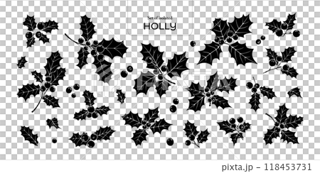 Set of isolated holly branches, red berries. Cute flower illustration in hand drawn style. Black silhouette on transparent background. 118453731