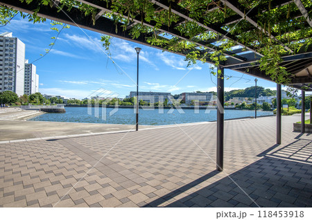 冨岡並木ふなだまり公園　神奈川県横浜市金沢区富岡東 118453918