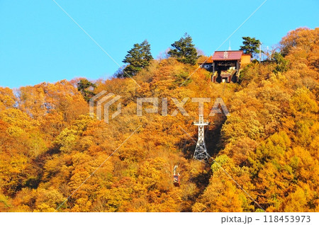 河口湖畔カチカチ山（天上山）の黄葉とカチカチ山ロープウェイ 118453973