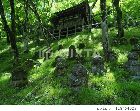 初夏の愛宕念仏寺 118454625