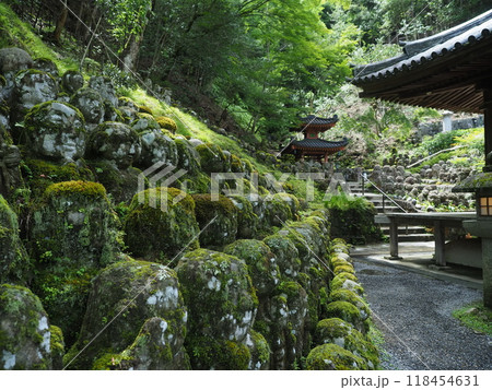 初夏の愛宕念仏寺 初夏の愛宕念仏寺 118454631