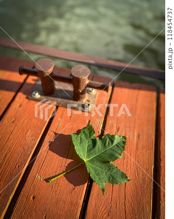 Maple leaf lying on wooden planks of the pier by the water 118454737