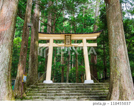熊野那智大社別宮　飛瀧神社 118455037