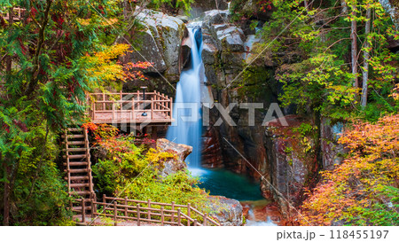 夕森渓谷(秋) 夕森渓谷(秋) 118455197