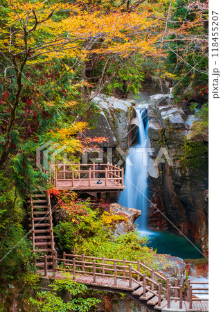 夕森渓谷(秋) 夕森渓谷(秋) 118455207