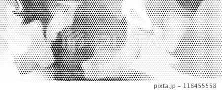 Abstract grain dotted distorted halftone texture. Pixelated grainy bitmap background. Distressed grunge wavy gradient pattern. Retro raster grit noise backdrop. Vector messy comic overlay wallpaper 118455558