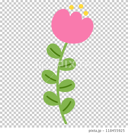 Illustration of pink tulip flower with green leaf for floral print, plants, tree, spring time, summer break, blossom, nature, garden, yard, park, picnic, sticker, cute patch, shirt print, brooch, pin Illustration of pink tulip flower with green leaf for floral print, plants, tree, spring time, summer break, blossom, nature, garden, yard, park, picnic, sticker, cute patch, shirt print, brooch, pin 118455925