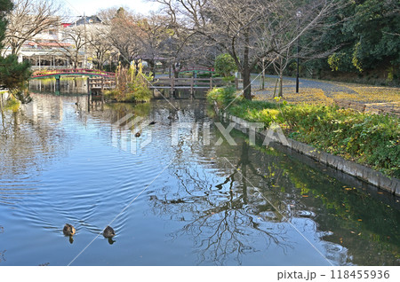本庄宿散歩:若泉公園 本庄市若泉 本庄宿散歩:若泉公園 本庄市若泉 118455936