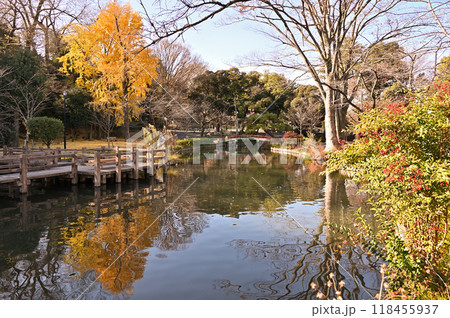 本庄宿散歩:若泉公園 本庄市若泉 本庄宿散歩:若泉公園 本庄市若泉 118455937