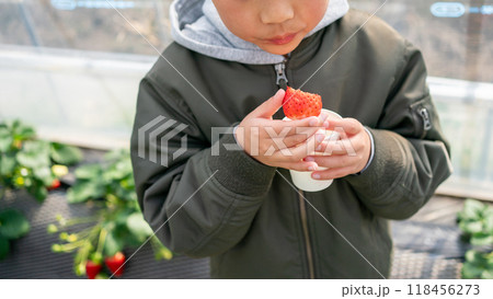 10 years old 10 years old 118456273