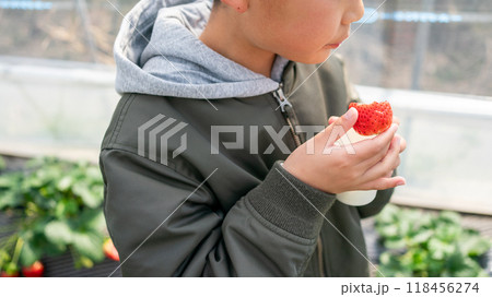 10 years old 118456274