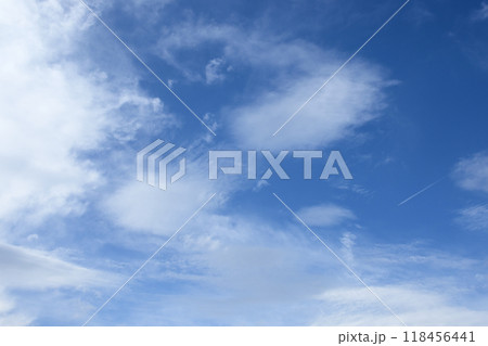 夏の青空と白い雲 118456441