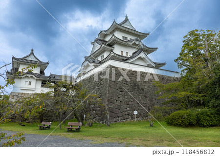 伊賀上野城の天守閣 伊賀上野城の天守閣 118456812