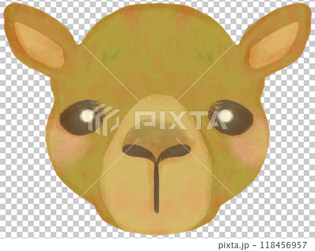 Cute camel illustration face Cute camel illustration face 118456957
