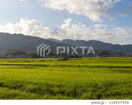 奈良県の明日香村に広がる田園風景 奈良県の明日香村に広がる田園風景 118457459