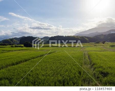 奈良県の明日香村に広がる田園風景 118457460