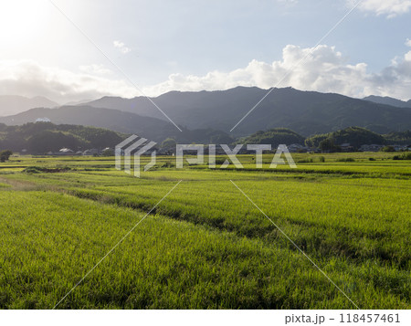 奈良県の明日香村に広がる田園風景 奈良県の明日香村に広がる田園風景 118457461