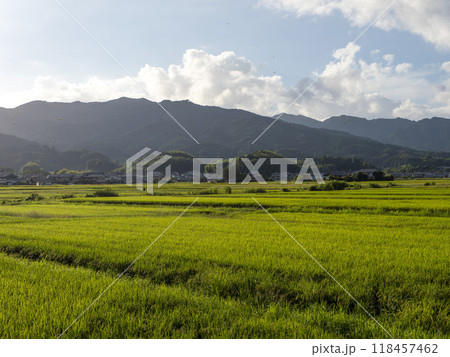 奈良県の明日香村に広がる田園風景 奈良県の明日香村に広がる田園風景 118457462
